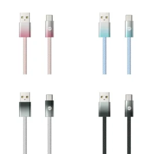 Type-C 10ft Cable Hang Tag Pack - 4 colours